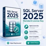 Buy Microsoft SQL Server 2025 Standard License Key at KeyRiva